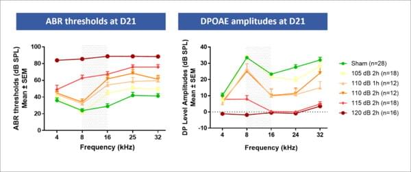 シルケアの事例画像