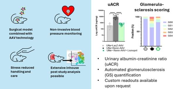 エボテックの事例画像