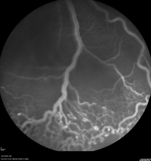 エクスペリメンティカの事例画像