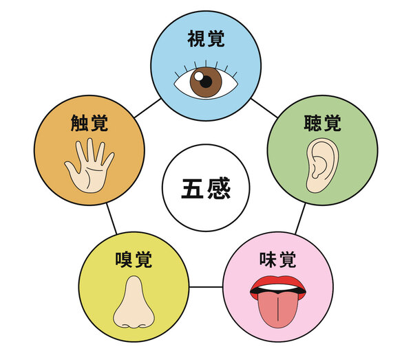 感覚器・発生・老化のイメージ画像